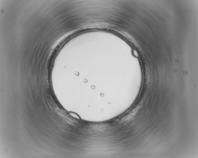 X0000070380830200607072152