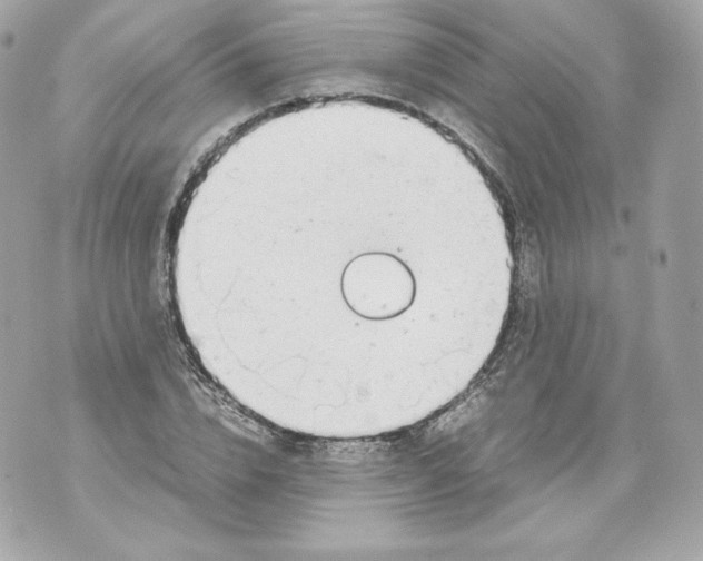 X0000070380832200607072152