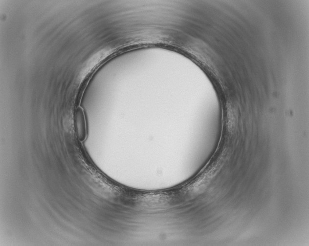 X0000070380834200607072152