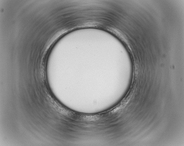 X0000070380835200607072152