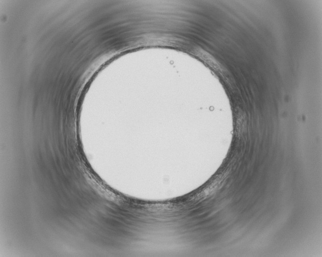 X0000070380836200607072152