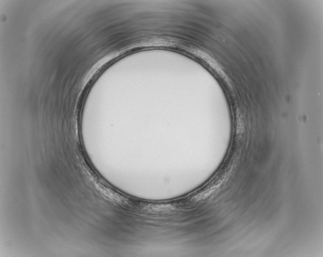 X0000070380837200607072152