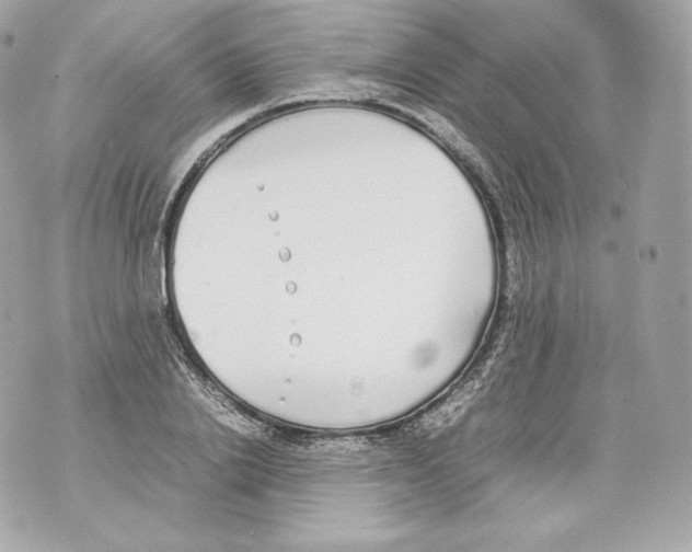 X0000070380838200607072152