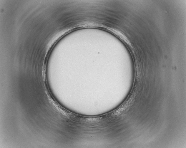 X0000070380839200607072152