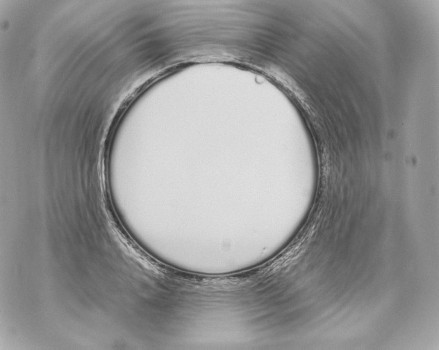 X0000070380840200607072152