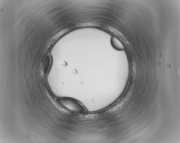 X0000070380841200607072152