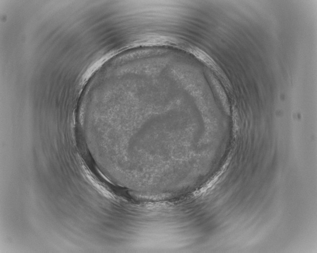 X0000070380842200607072152