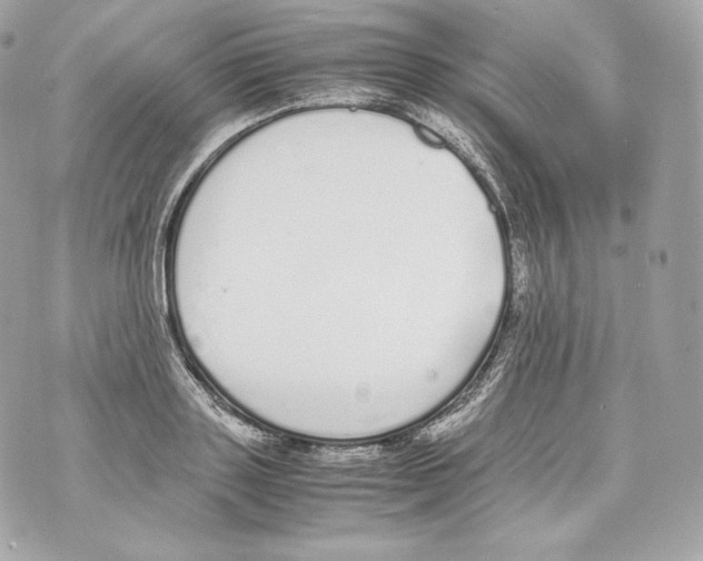 X0000070380843200607072152