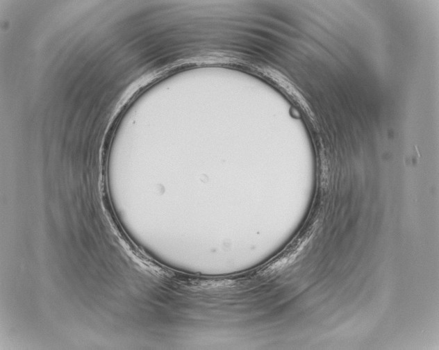 X0000070380845200607072152