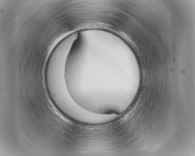 X0000070380846200607072152