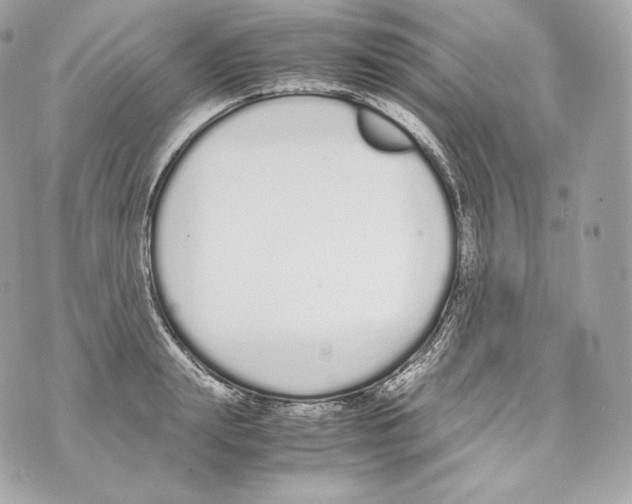 X0000070380847200607072152