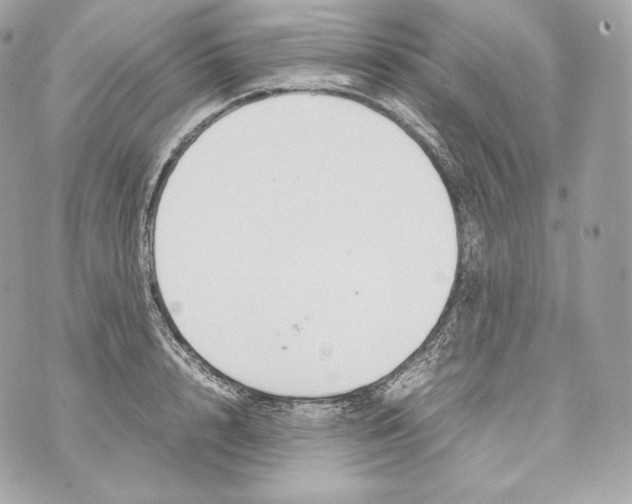 X0000070380848200607072152