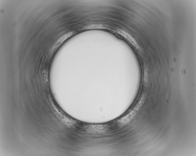 X0000070380849200607072152