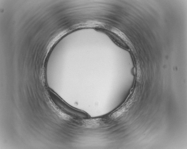 X0000070380850200607072152