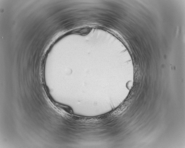 X0000070380851200607072152