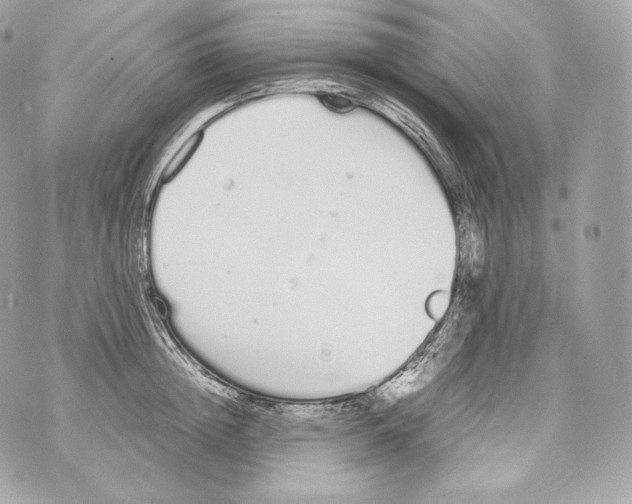 X0000070380852200607072152