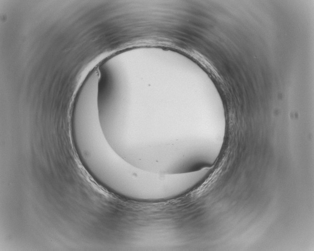 X0000070380854200607072152