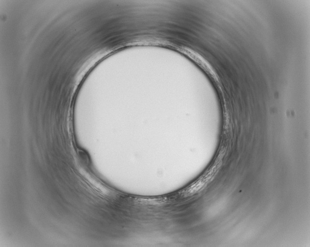 X0000070380855200607072152