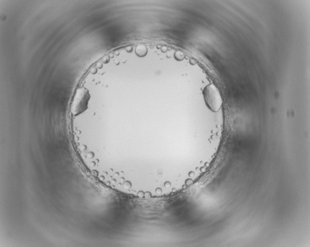 X0000070380856200607072152