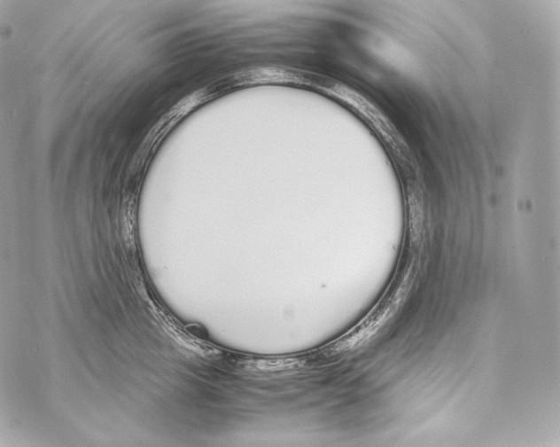 X0000070380857200607072152