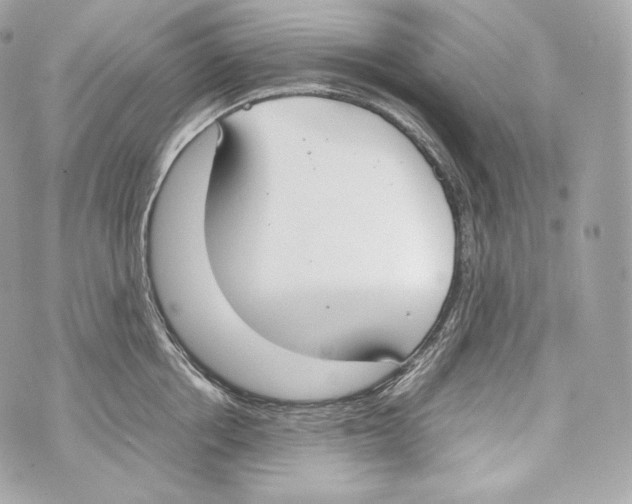 X0000070380858200607072152