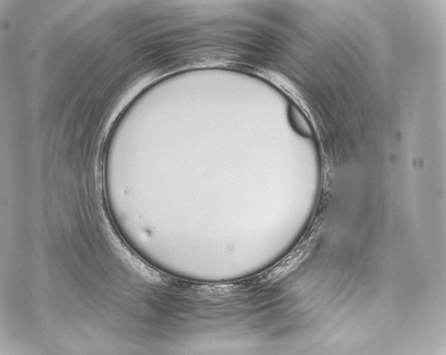 X0000070380859200607072152