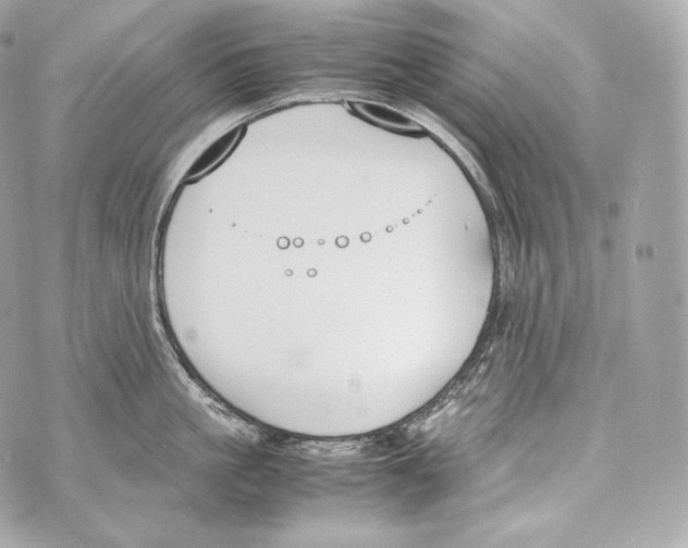 X0000070380861200607072152