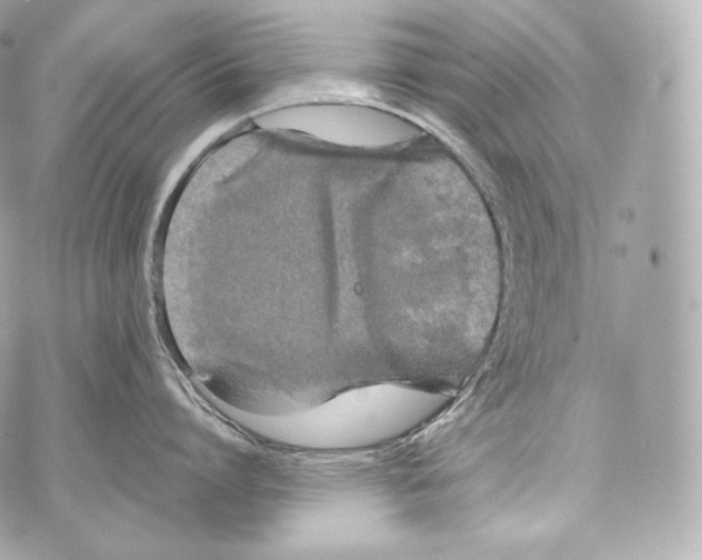 X0000070380864200607072152