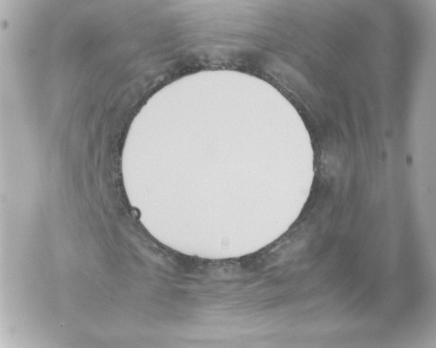 X0000070380865200607072151