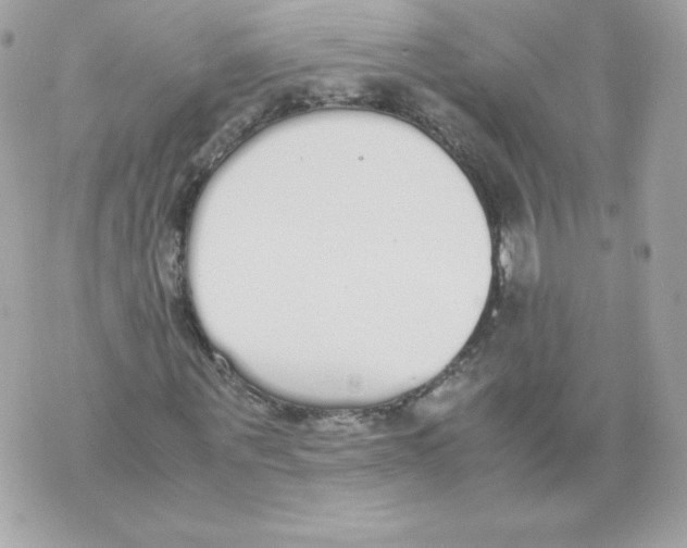 X0000070380867200607072151