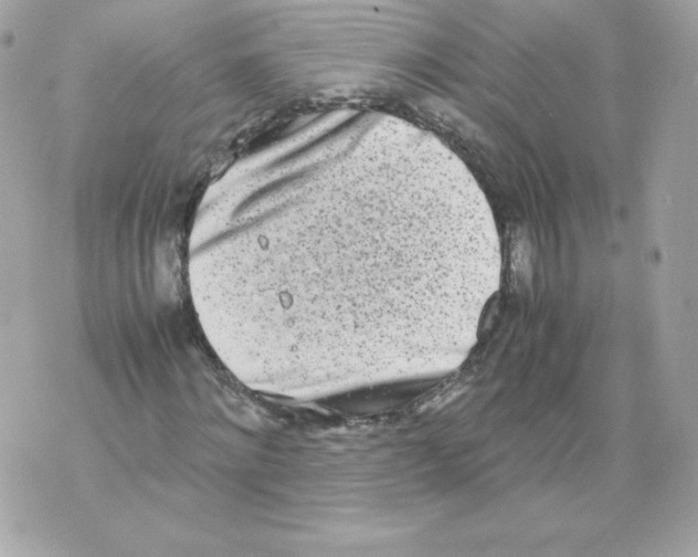 X0000070380868200607072151