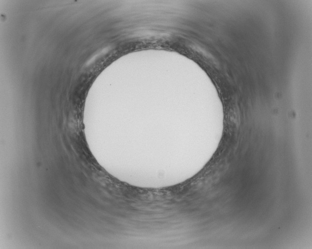 X0000070380869200607072151