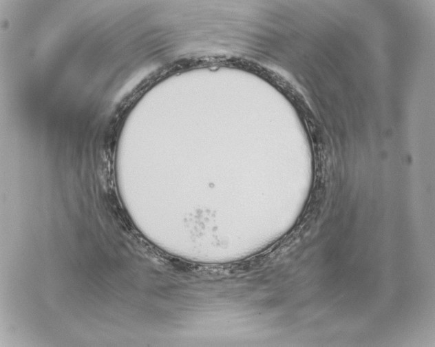 X0000070380871200607072151