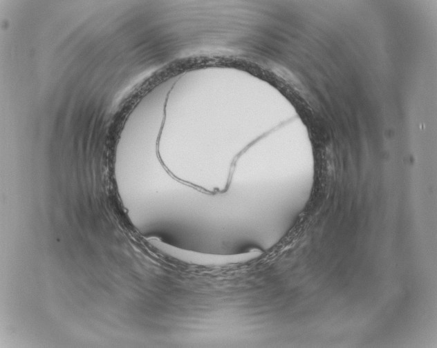 X0000070380872200607072151