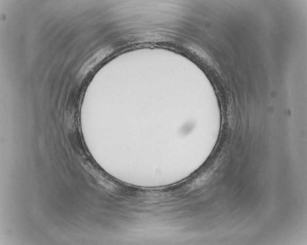 X0000070380873200607072151