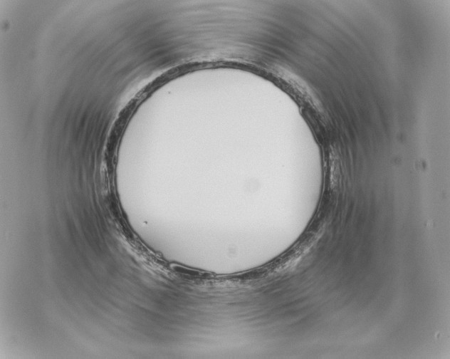 X0000070380876200607072151