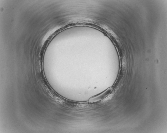 X0000070380877200607072151