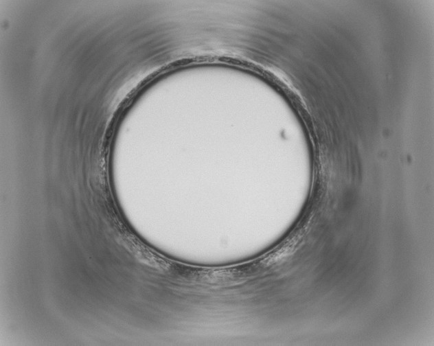 X0000070380879200607072151