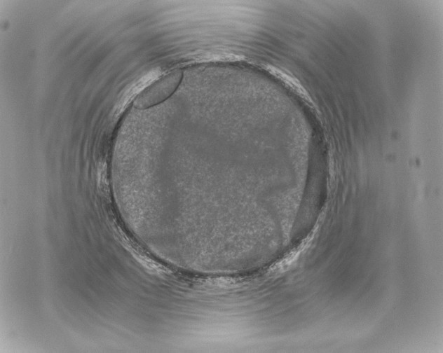 X0000070380881200607072151