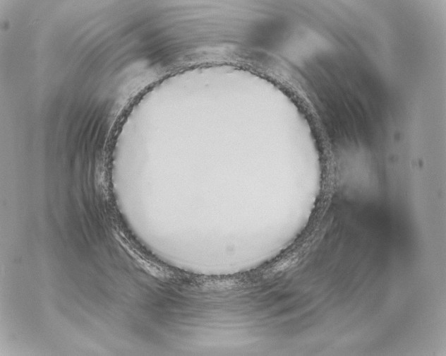 X0000070380882200607072151