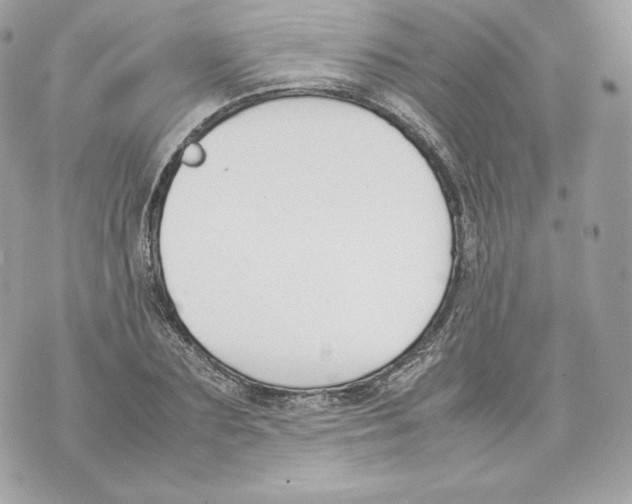 X0000070380883200607072151