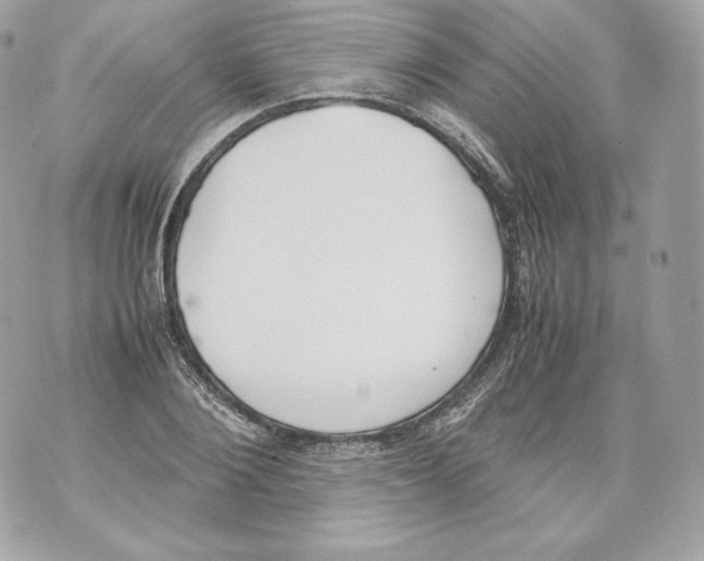 X0000070380884200607072151