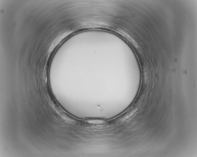 X0000070380885200607072151