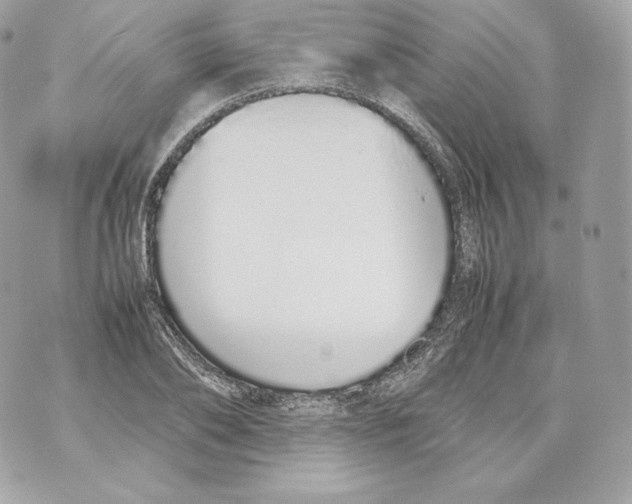 X0000070380886200607072151