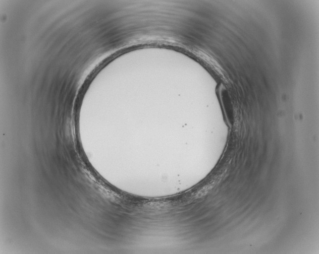 X0000070380888200607072151