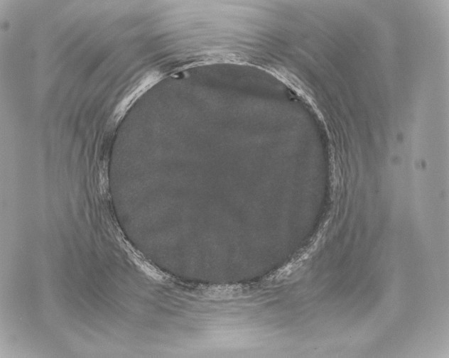 X0000070380889200607072151