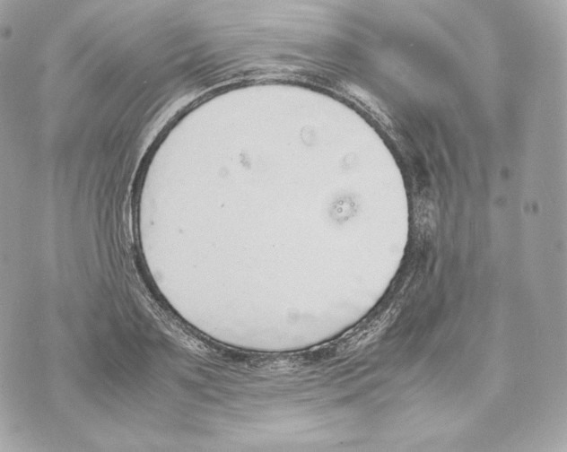 X0000070380891200607072151