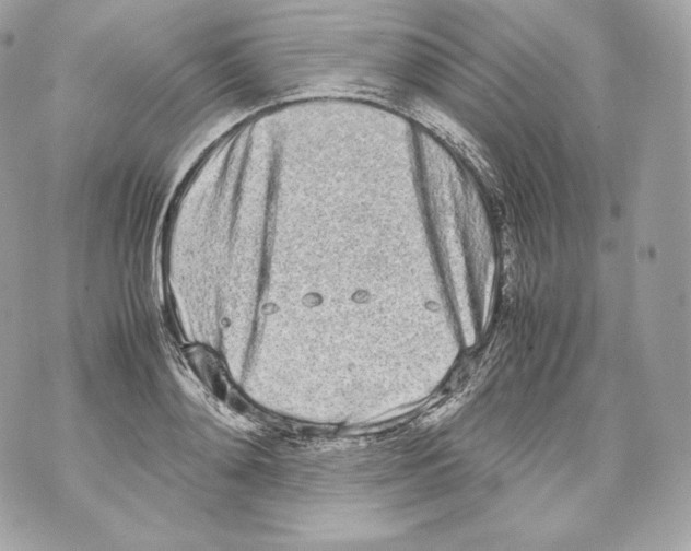 X0000070380892200607072151