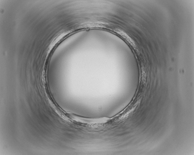 X0000070380893200607072151