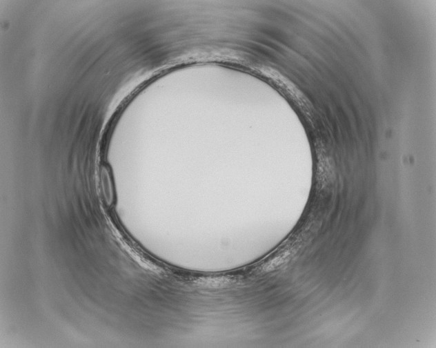 X0000070380894200607072151